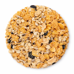 granola-con-stevia