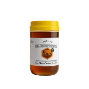 miel-pura-del-quilpo